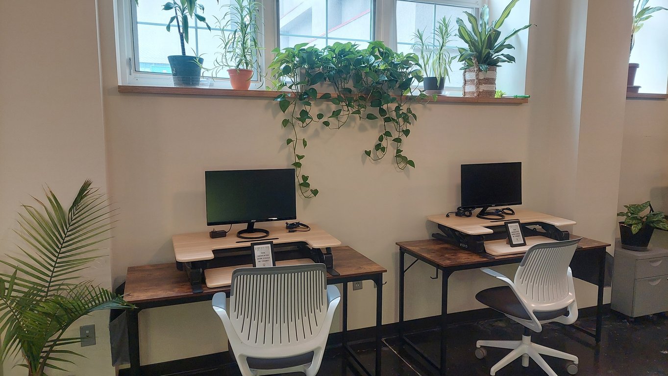 An interior shot of Dedicated Desk