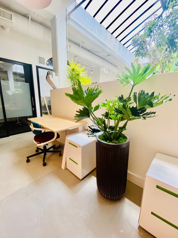 An interior shot of Dedicated Desk
