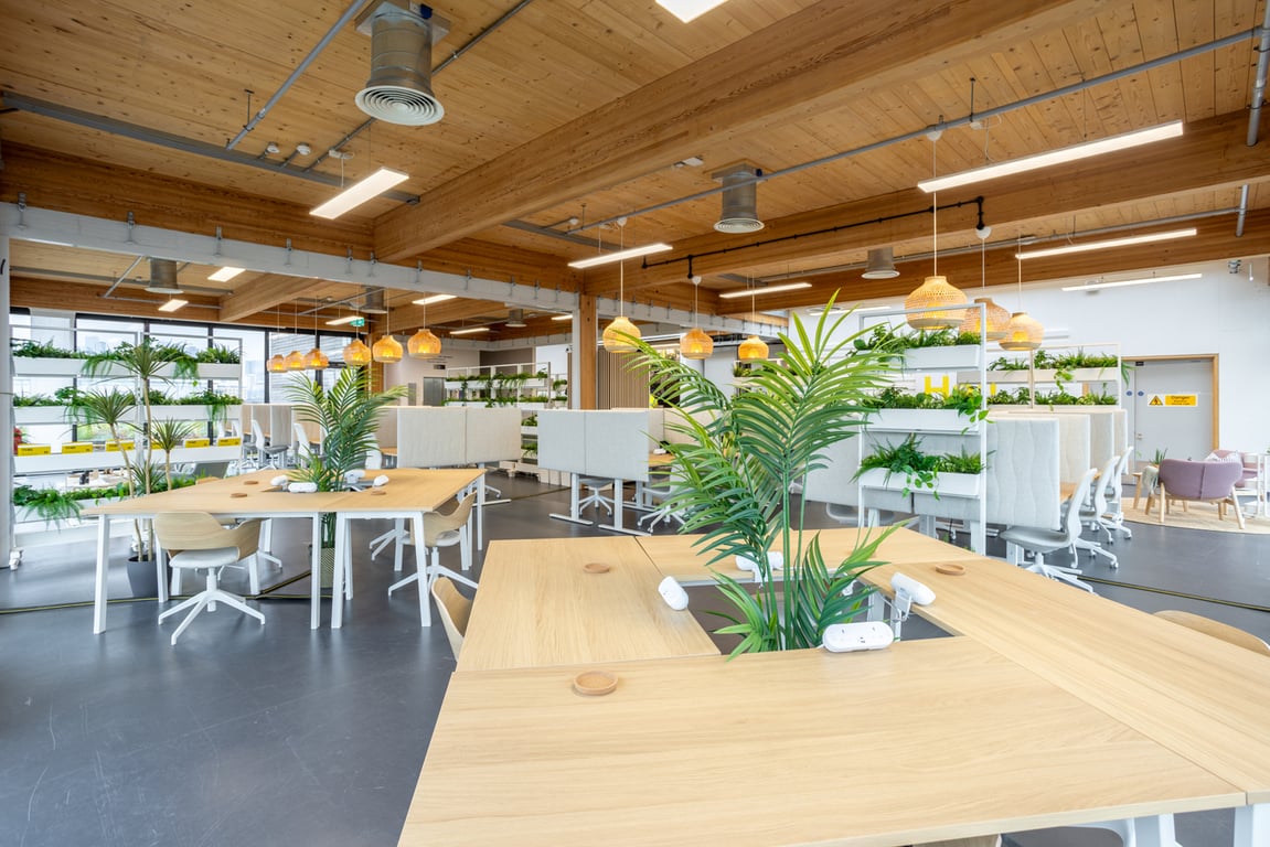 An interior shot of Monthly Dedicated Desk