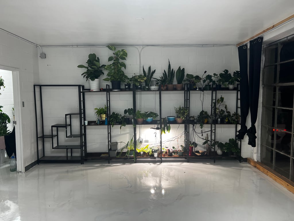 An interior shot of The Plant Apothecary Meeting Room