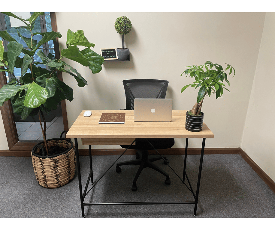 An interior shot of e-CEO Suites