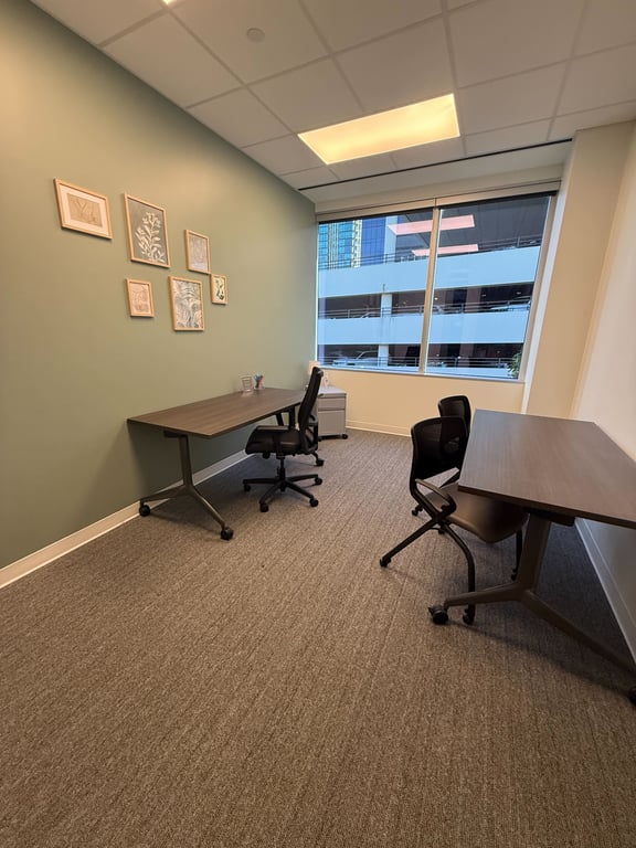 An interior shot of Private One person internal office
