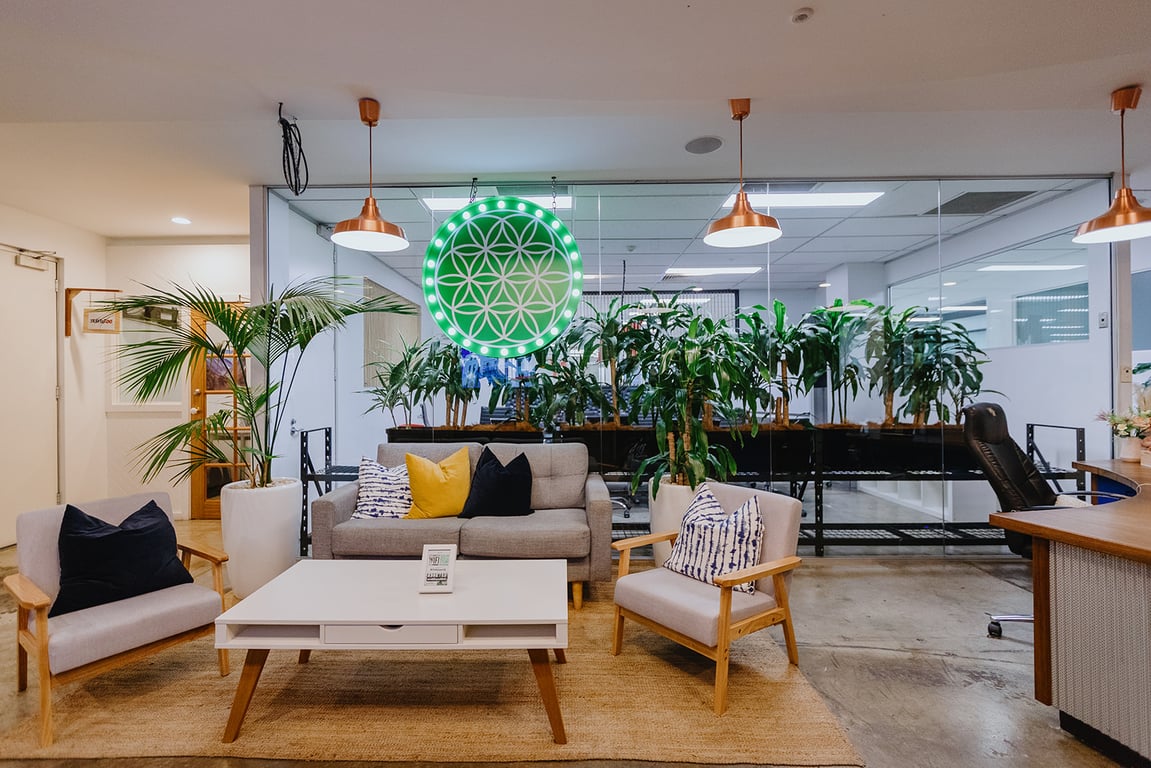 An interior shot of WOTSO - Pyrmont