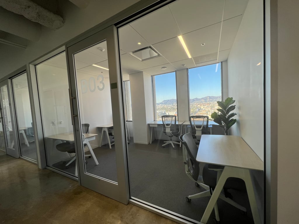 B04 - 4 Person / Private office - Windows View