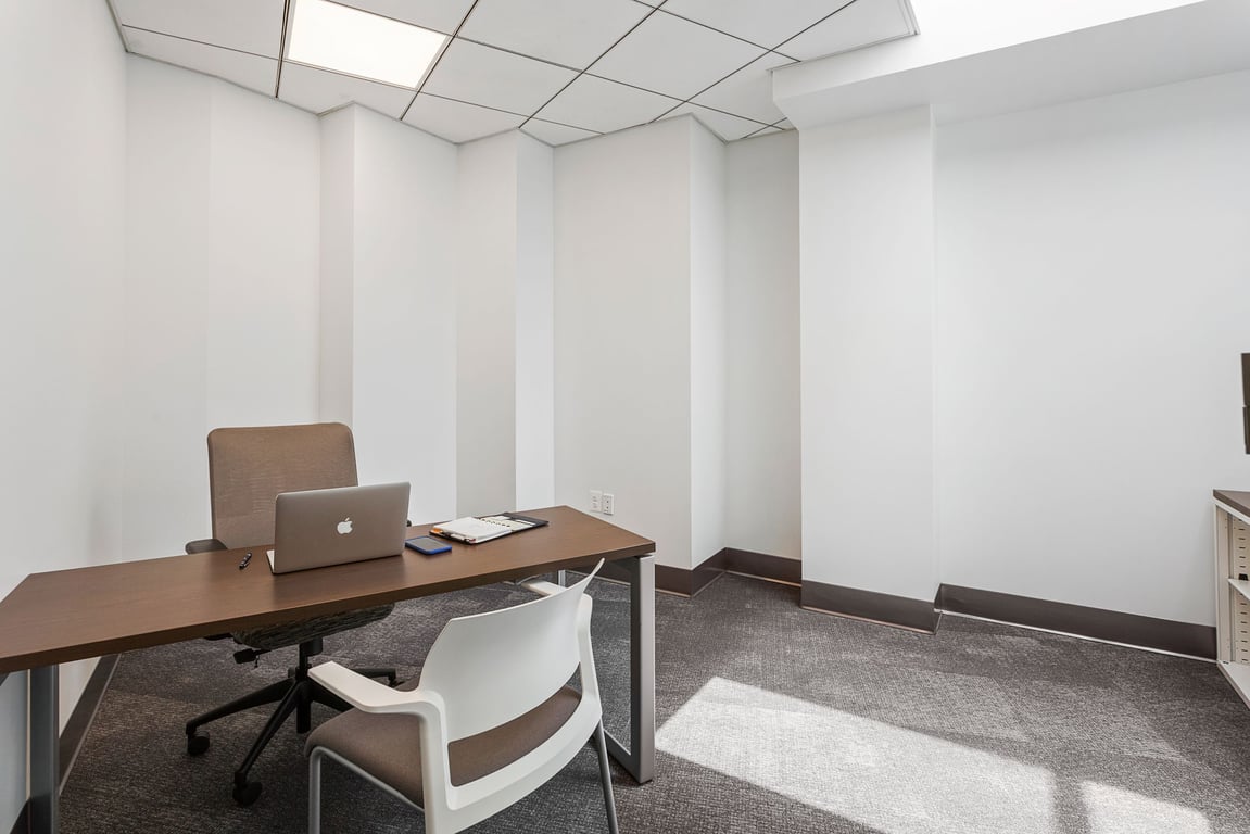 1 Person Private Skylight Office