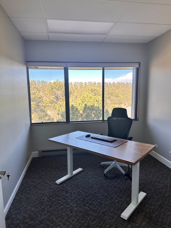 An interior shot of Private Day Office for One