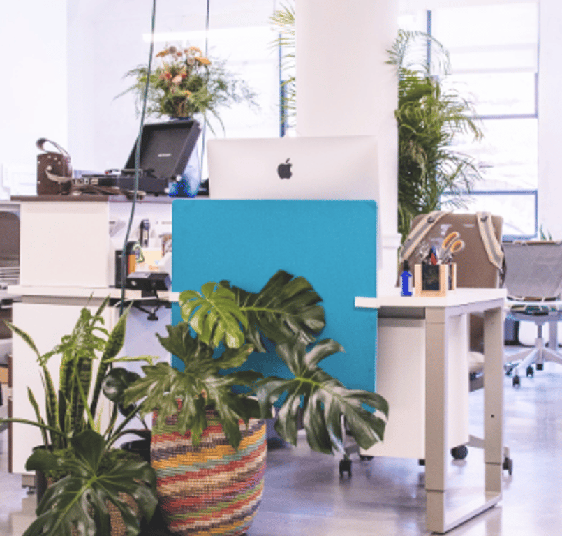 An interior shot of Dedicated Desk