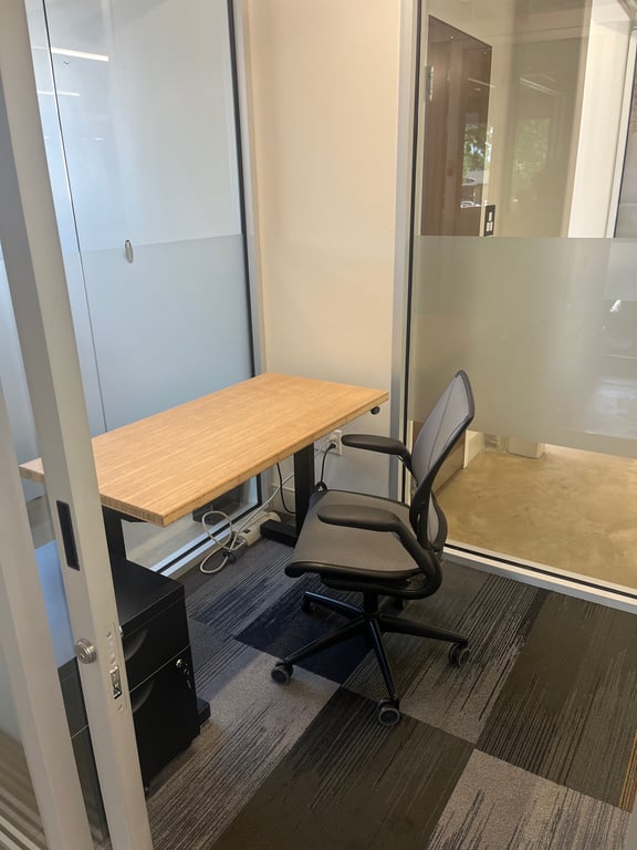 Single Desk Private Suite