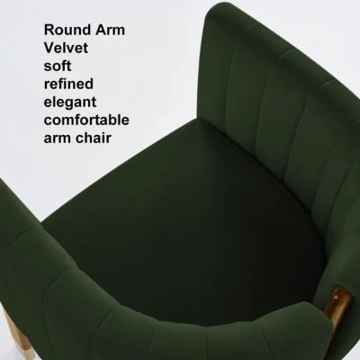 Picture of Arlin Modern Accent Chair – Natural Wood  & Steel Accents