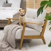 Picture of Casilo Natural Wood Armchair – Vintage Charm & Everyday Comfort