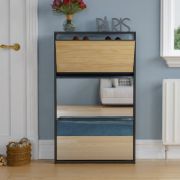 Hermina 12 Pair Shoe Storage Cabinet