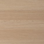 البلوط الساحلي