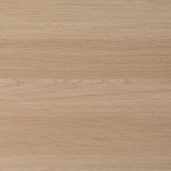 البلوط الساحلي