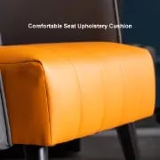 Picture of Saphira Modern Accent Chair – Leather with Stainless Steel Legs