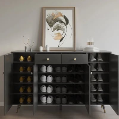 صورة آليا خزانة أحذية متعددة الاستخدام