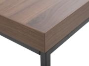 Picture of Delano Natural Wood Coffee Table with A Metal Frame