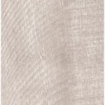 بلوط رمادي مترب