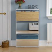 Hermina 12 Pair Shoe Storage Cabinet