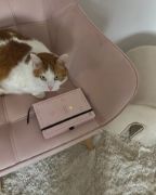 صورة كرسي ميلو بحواف مستديرة – تنجيد ناعم وأرجل خشبية