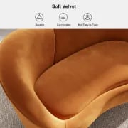 Picture of Royal Velvet Curved Sofa 2-Seater