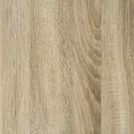 البلوط الساحلي