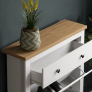 Josefa 12 Pair Shoe Storage Cabinet