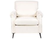 Picture of Daroa Modern Armchair – Natural Wood with Stainless Steel Legs