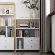 Picture of Luria's bookshelf