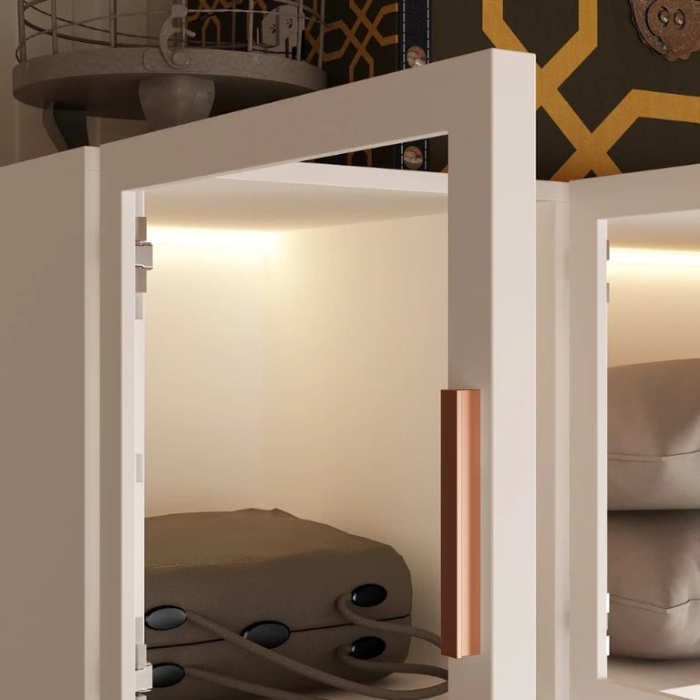 Picture of Paolo Modern wardrobe with glass doors and natural wood lighting