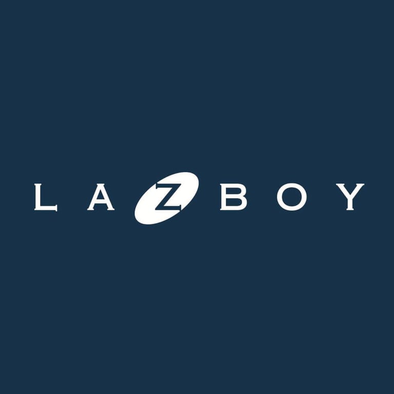 سهم شركة LZB 2025