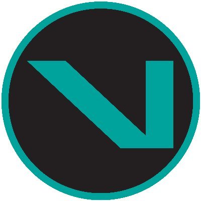 سهم شركة vnt