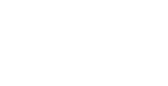 سهم شركة MGPI 2025