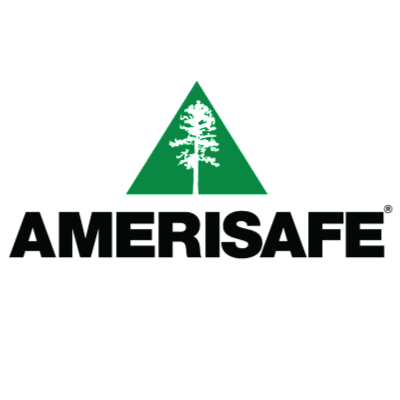 سهم شركة AMSF 2025
