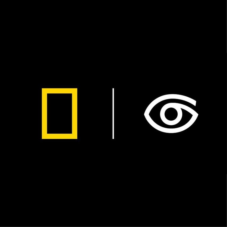 سهم شركة LIND 2025