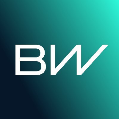 سهم شركة BWA 2025