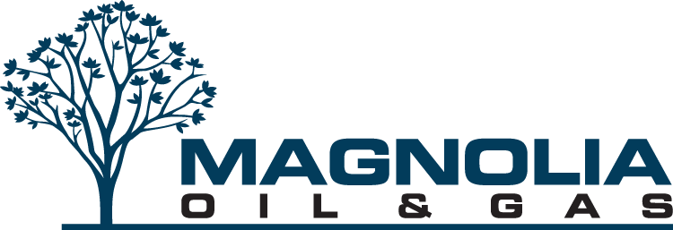 سهم شركة MGY 2025