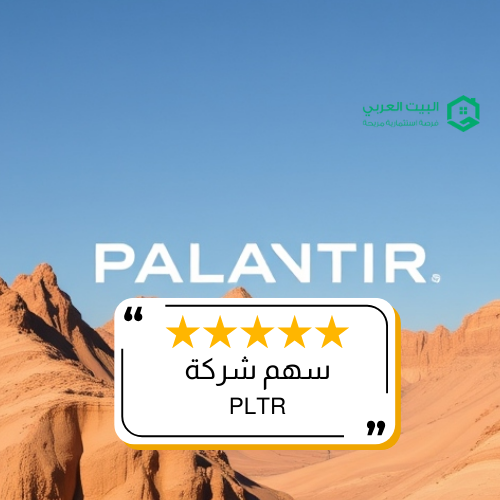 سهم شركة PLTR في 2025