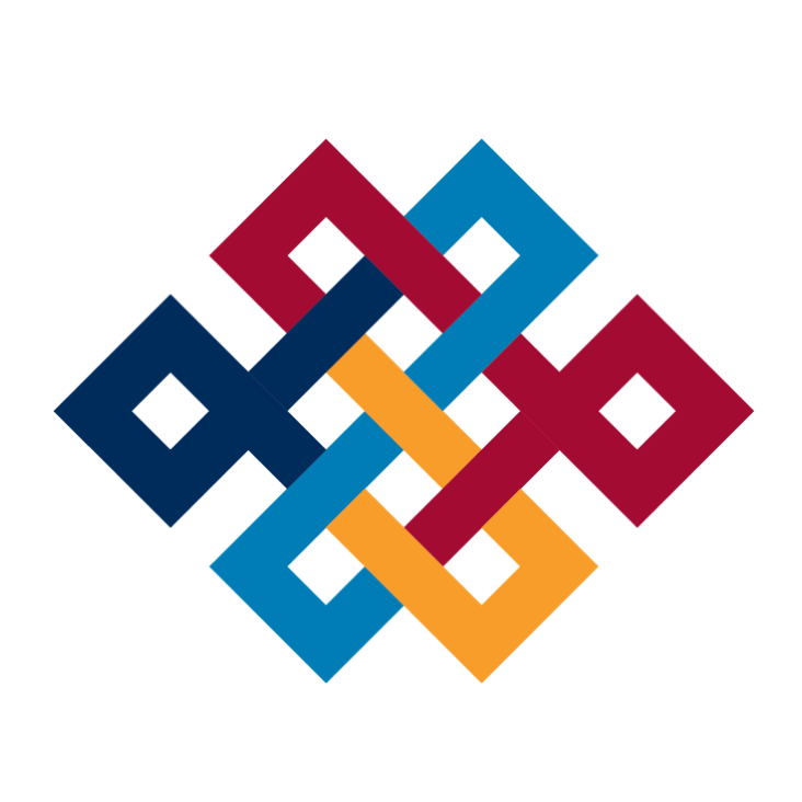 سهم شركة BGSF 2025