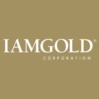 سهم شركة IAG 2025