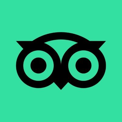 سهم شركة trip