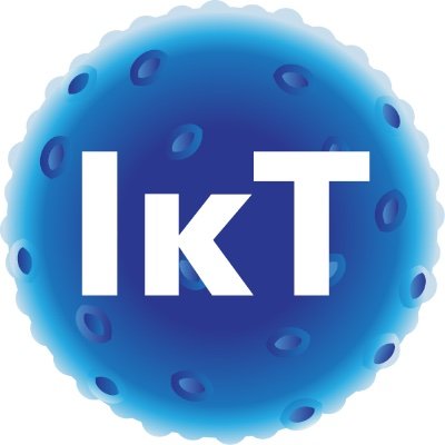سهم شركة IKT 2025