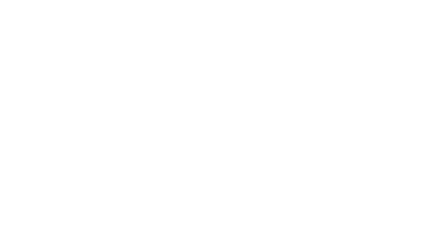 سهم شركة HL 2025