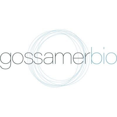سهم شركة GOSS 2025