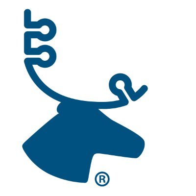 سهم شركة CRBU 2025