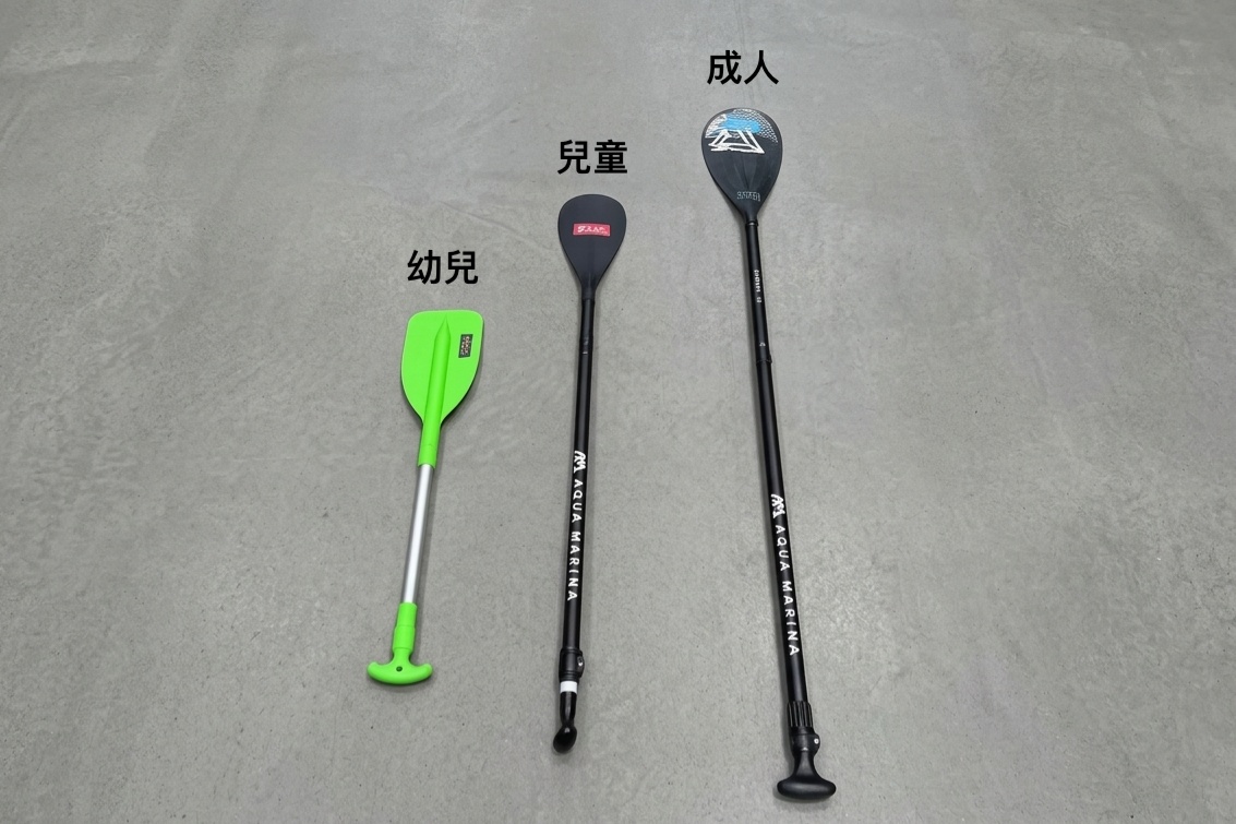 三支不同尺寸划槳並排:幼兒綠色短槳、兒童中型槳、成人長槳, 對比尺寸差異