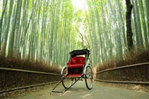 5月9日（木）本日の空き情報♪