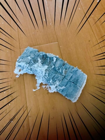 ある秋の日の悲劇