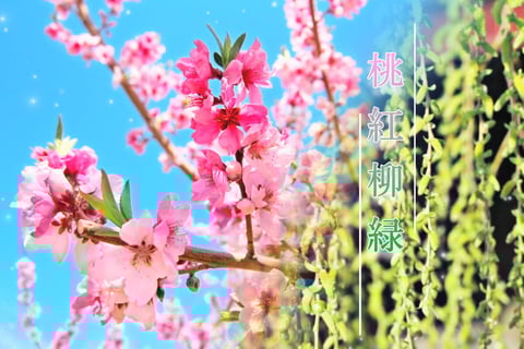 本日の空き情報