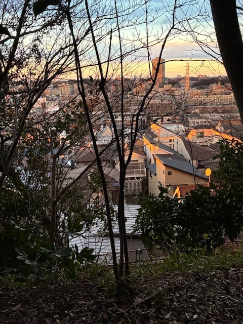 師岡熊野神社へ行って来ました。