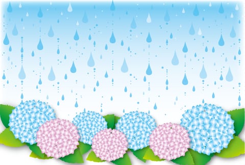 雨の日こそ〇〇！